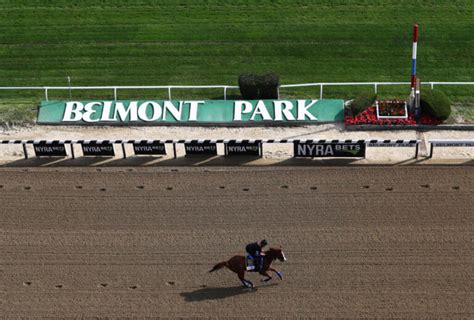Belmont picks today timeform. Things To Know About Belmont picks today timeform. 